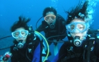 ꌧ PADI CJ[h